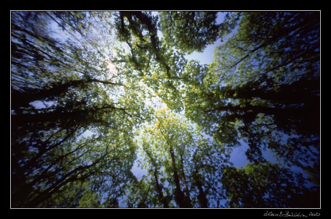 PinholeDay 2010 -