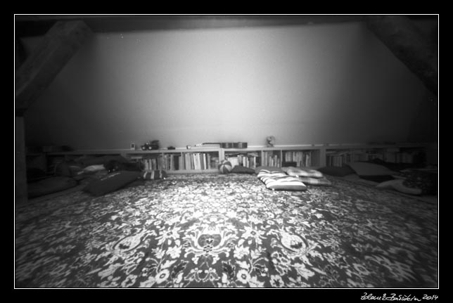 Pinholeday 2014 - in the attic