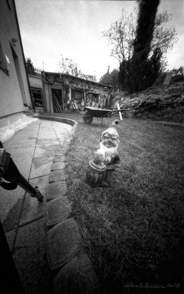 Pinholeday 2019 - spring job