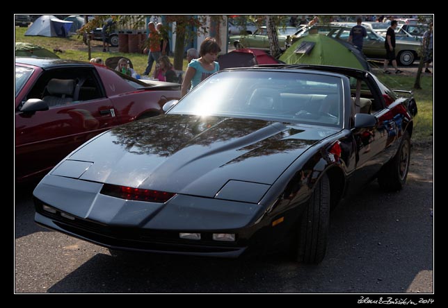 American Day 2014 - Lutnice - Kitt