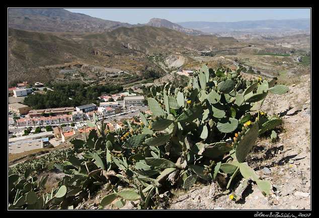 Andalucia - Tabernas