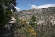 Andalucia - Sierra de Almijara - on the slope of Cerromartos