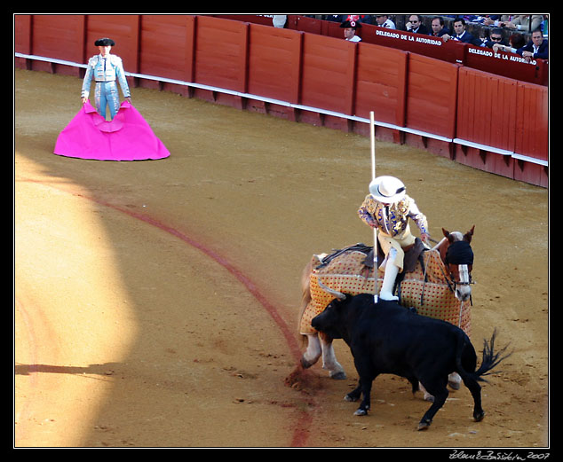 Sevilla - picador`s action in <i>tercio de varas</i>