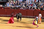Sevilla - ...before the bull died