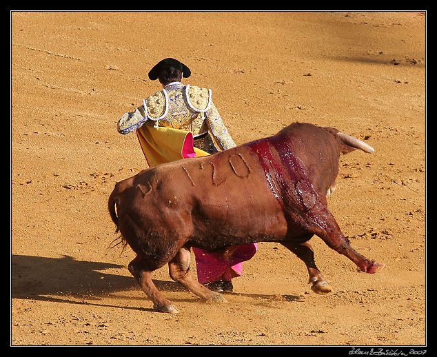 Sevilla - corrida de toros