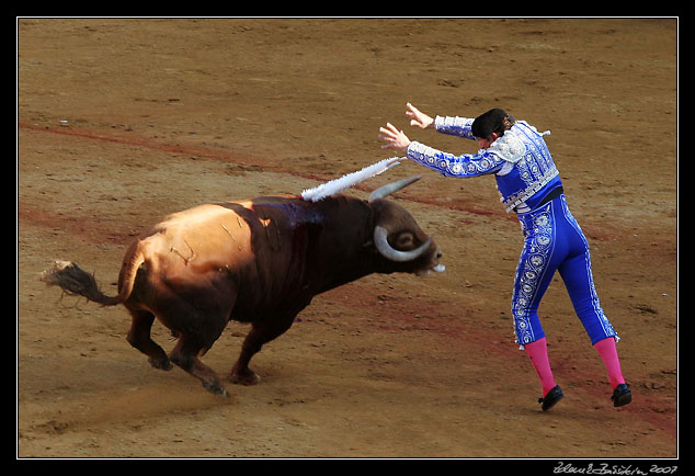 Sevilla - <i>tercio de banderillas</i>