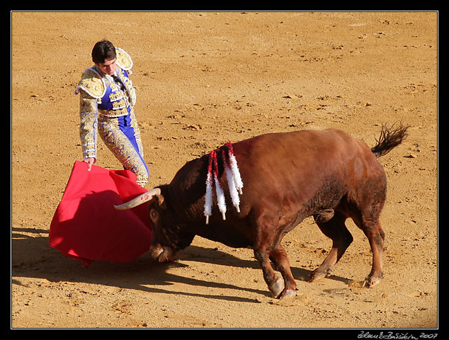 Sevilla - <i>faena</i> of Sebastin Castella