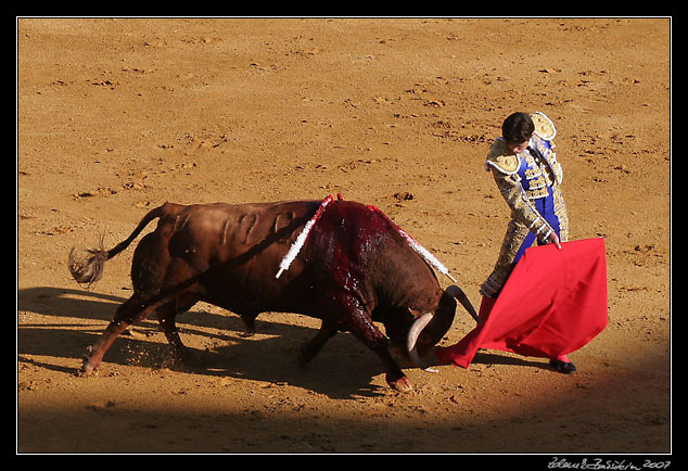 Sevilla - <i>faena</i> of Sebastin Castella