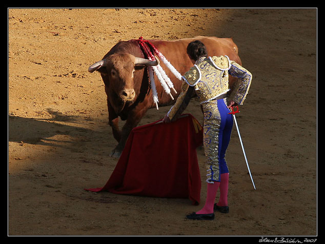 Sevilla - Sebastin Castella