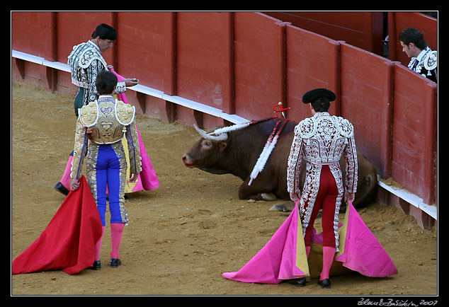 Sevilla - corrida de toros - bull`s end...