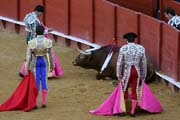 Sevilla - corrida de toros - bull`s end...
