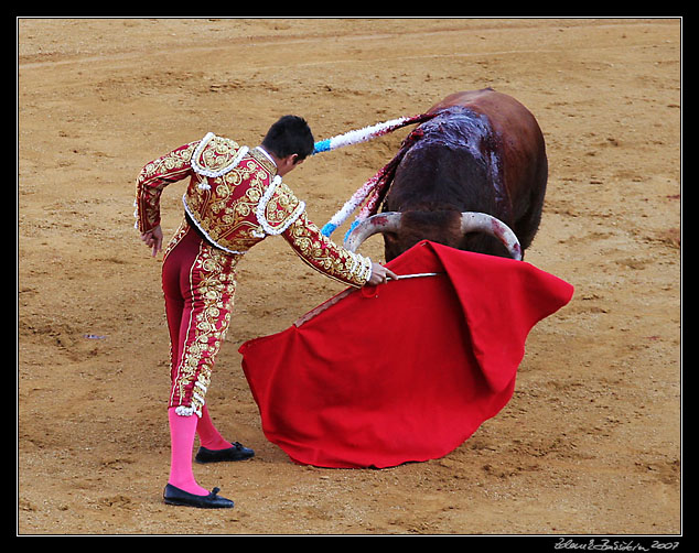 Sevilla - corrida de toros - <i>faena</i> of Jose Ma. Manzanares