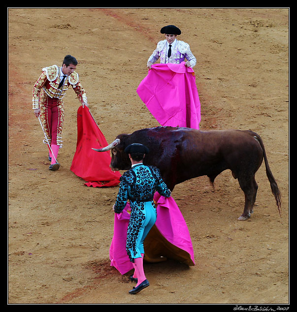 Sevilla - corrida de toros - Jose Manzanares preparing for <i>estocada</i>