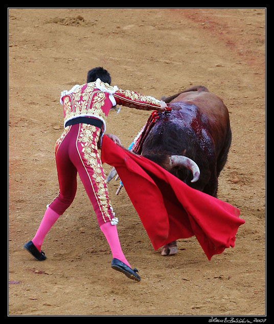 Sevilla - corrida de toros - Jose Manzanares performing <i>estocada</i>