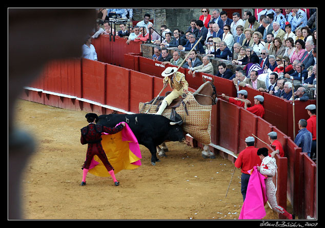Sevilla - corrida de toros - bull chrging a <i>picador</i>`s horse