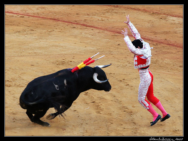 Sevilla - corrida de toros - the first pair of <i>banderillas</i> has been placed