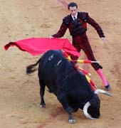 Sevilla - corrida de toros - Finito de Cordoba and his second bull this day