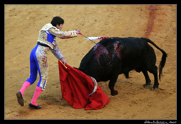 Sevilla - corrida de toros - Sebastin Castella performing <i>estocada</i>