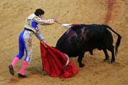 Sevilla - corrida de toros - Sebastián Castella performing <i>estocada</i>
