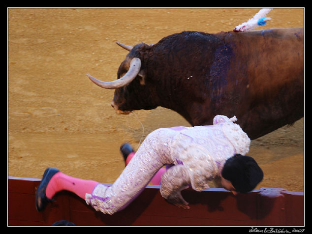 Sevilla - corrida de toros - oops!