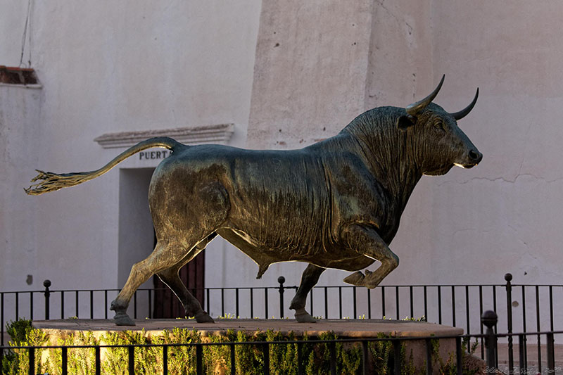 Ronda - Plaza de Toros de Ronda