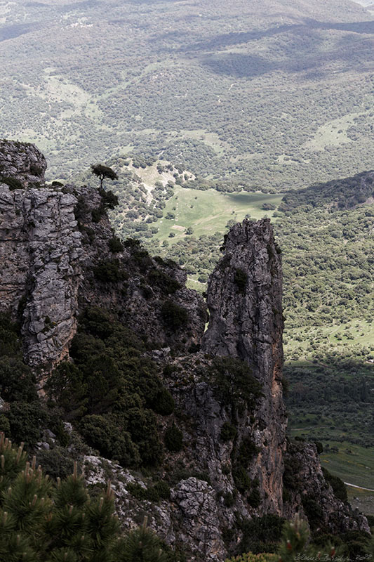 Sierra de Zafalgar - Puerto de las Palomas