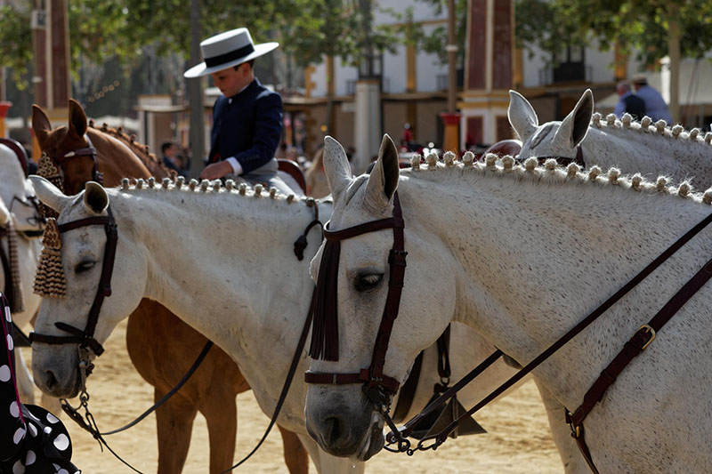 Jerez de la Frontera - Feria del Caballo