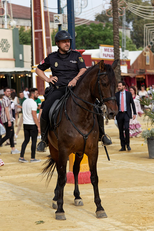 Jerez de la Frontera - Feria del Caballo