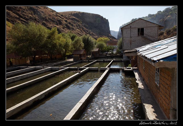 Armenia - Garni