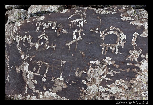 Armenia - Ughtasar - Ughtasar petroglyphs