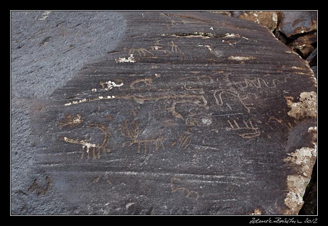 Armenia - Ughtasar - Ughtasar petroglyphs