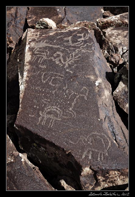 Armenia - Ughtasar - Ughtasar petroglyphs