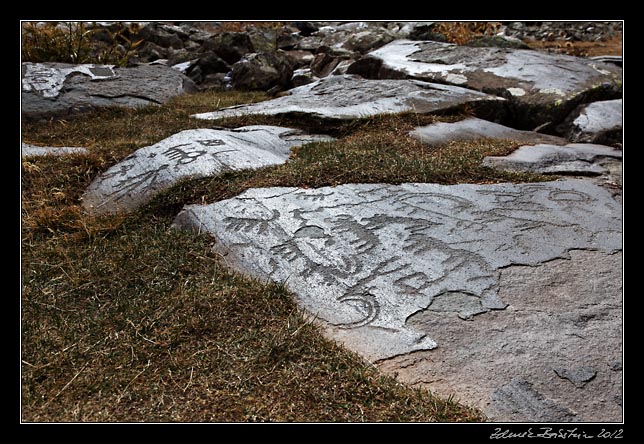 Armenia - Ughtasar - Ughtasar petroglyphs