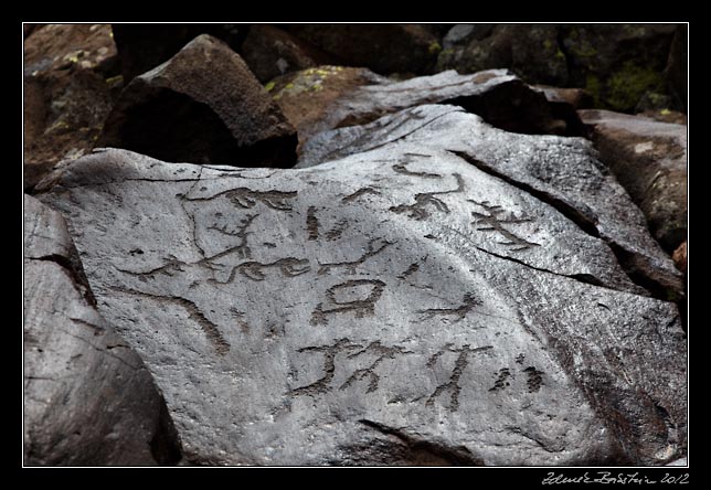 Armenia - Ughtasar - Ughtasar petroglyphs