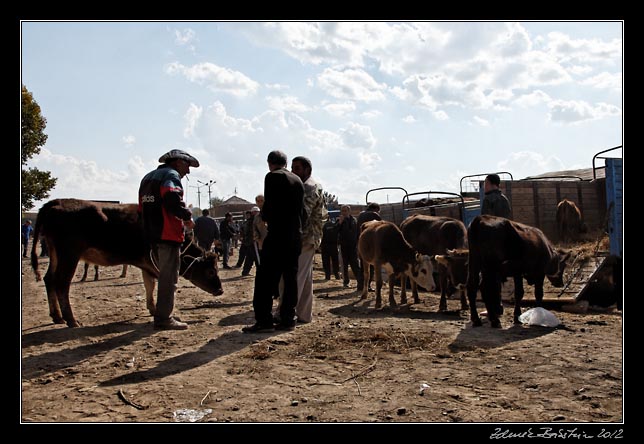 Armenia - Martuni - livestock market