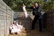 Armenia - Martuni - livestock market