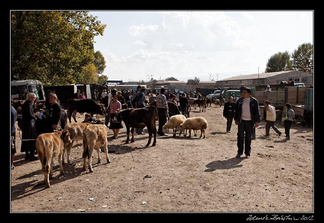 Armenia - Martuni - livestock market