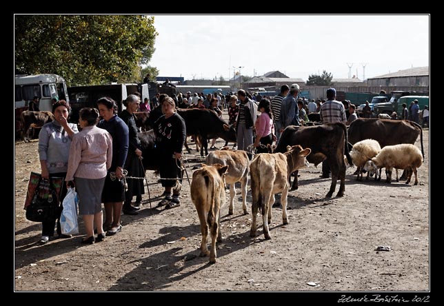 Armenia - Martuni - livestock market