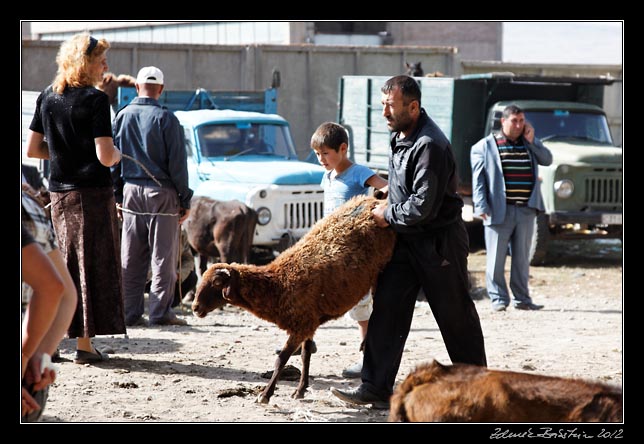 Armenia - Martuni - livestock market