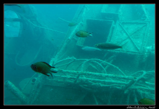 Gran Canaria - the wreck - Puerto de Mogn