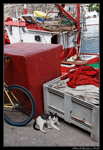 Gran Canaria - Puerto de Mogn