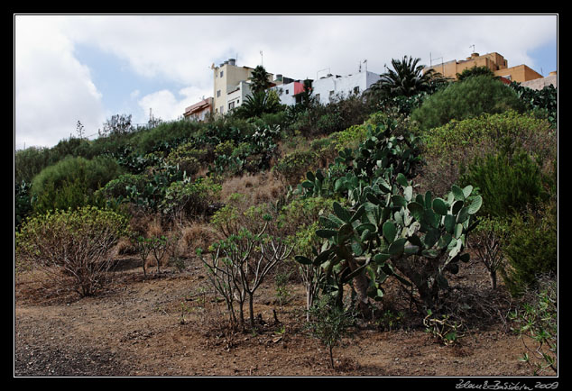 Gran Canaria - Caldera de Bandama