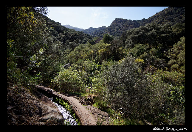 Gran Canaria - Barranco Los Cernicalos