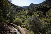 Gran Canaria - Barranco Los Cernicalos