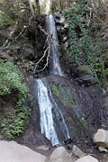 Gran Canaria - Barranco Los Cernicalos