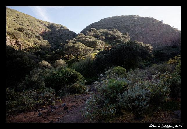 Gran Canaria - Barranco Los Cernicalos