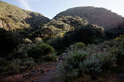 Gran Canaria - Barranco Los Cernicalos