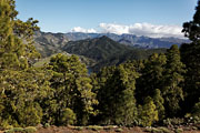 Gran Canaria - Tamadaba