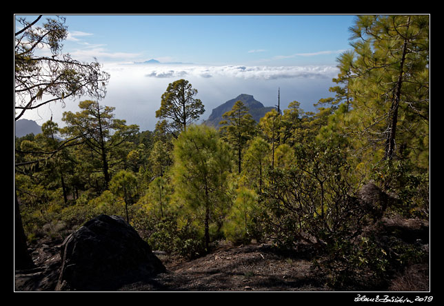 Gran Canaria - Tamadaba