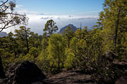 Gran Canaria - Tamadaba